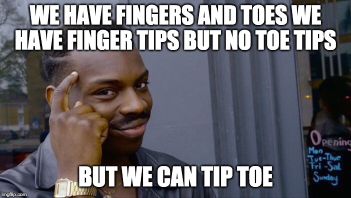 Roll Safe Think About It Meme | WE HAVE FINGERS AND TOES WE HAVE FINGER TIPS BUT NO TOE TIPS; BUT WE CAN TIP TOE | image tagged in memes,roll safe think about it | made w/ Imgflip meme maker