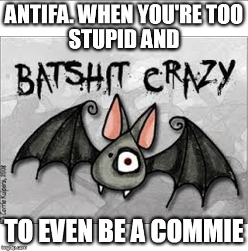 Antifa too stupid to be a Commie |  ANTIFA. WHEN YOU'RE TOO
STUPID AND; TO EVEN BE A COMMIE | image tagged in mad antifas,antifa terrorists,antifa cocksucker,nazi bought antifas | made w/ Imgflip meme maker