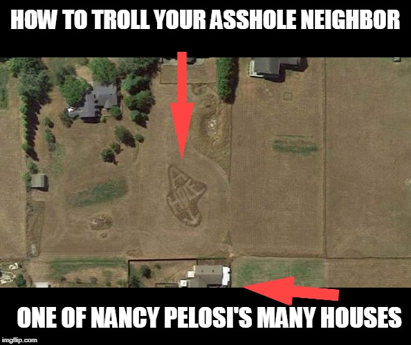 pelosi troll | HOW TO TROLL YOUR ASSHOLE NEIGHBOR; ONE OF NANCY PELOSI'S MANY HOUSES | image tagged in nancy pelosi | made w/ Imgflip meme maker