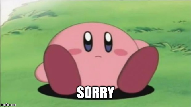 kirby | SORRY | image tagged in kirby | made w/ Imgflip meme maker