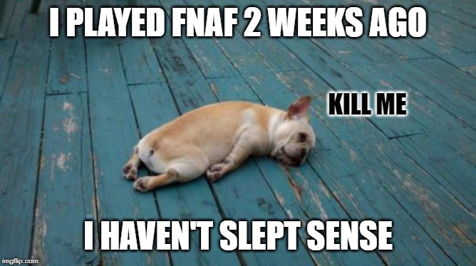 tired dog | I PLAYED FNAF 2 WEEKS AGO I HAVEN'T SLEPT SENSE KILL ME | image tagged in tired dog | made w/ Imgflip meme maker