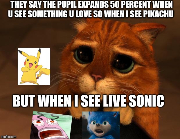 puss in boots eyes |  THEY SAY THE PUPIL EXPANDS 50 PERCENT WHEN U SEE SOMETHING U LOVE SO WHEN I SEE PIKACHU; BUT WHEN I SEE LIVE SONIC | image tagged in puss in boots eyes | made w/ Imgflip meme maker