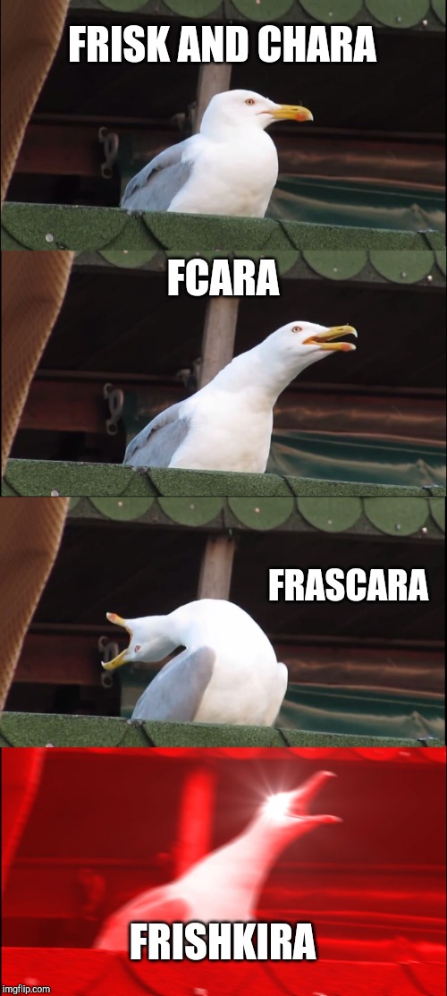 Inhaling Seagull Meme | FRISK AND CHARA; FCARA; FRASCARA; FRISHKIRA | image tagged in memes,inhaling seagull | made w/ Imgflip meme maker