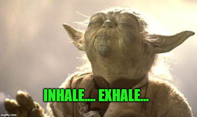 Yoda Meditating | INHALE.... EXHALE... | image tagged in yoda meditating | made w/ Imgflip meme maker