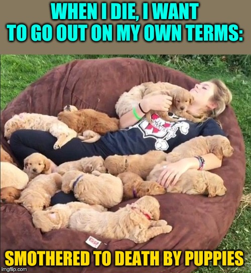 WHEN I DIE, I WANT TO GO OUT ON MY OWN TERMS: SMOTHERED TO DEATH BY PUPPIES | made w/ Imgflip meme maker
