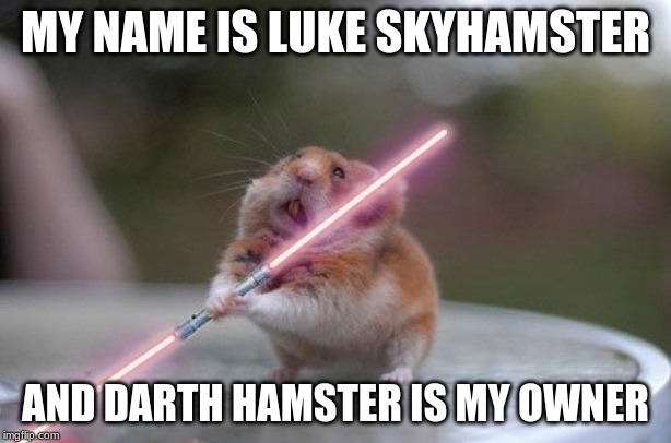 Star Wars hamster | MY NAME IS LUKE SKYHAMSTER; AND DARTH HAMSTER IS MY OWNER | image tagged in star wars hamster | made w/ Imgflip meme maker