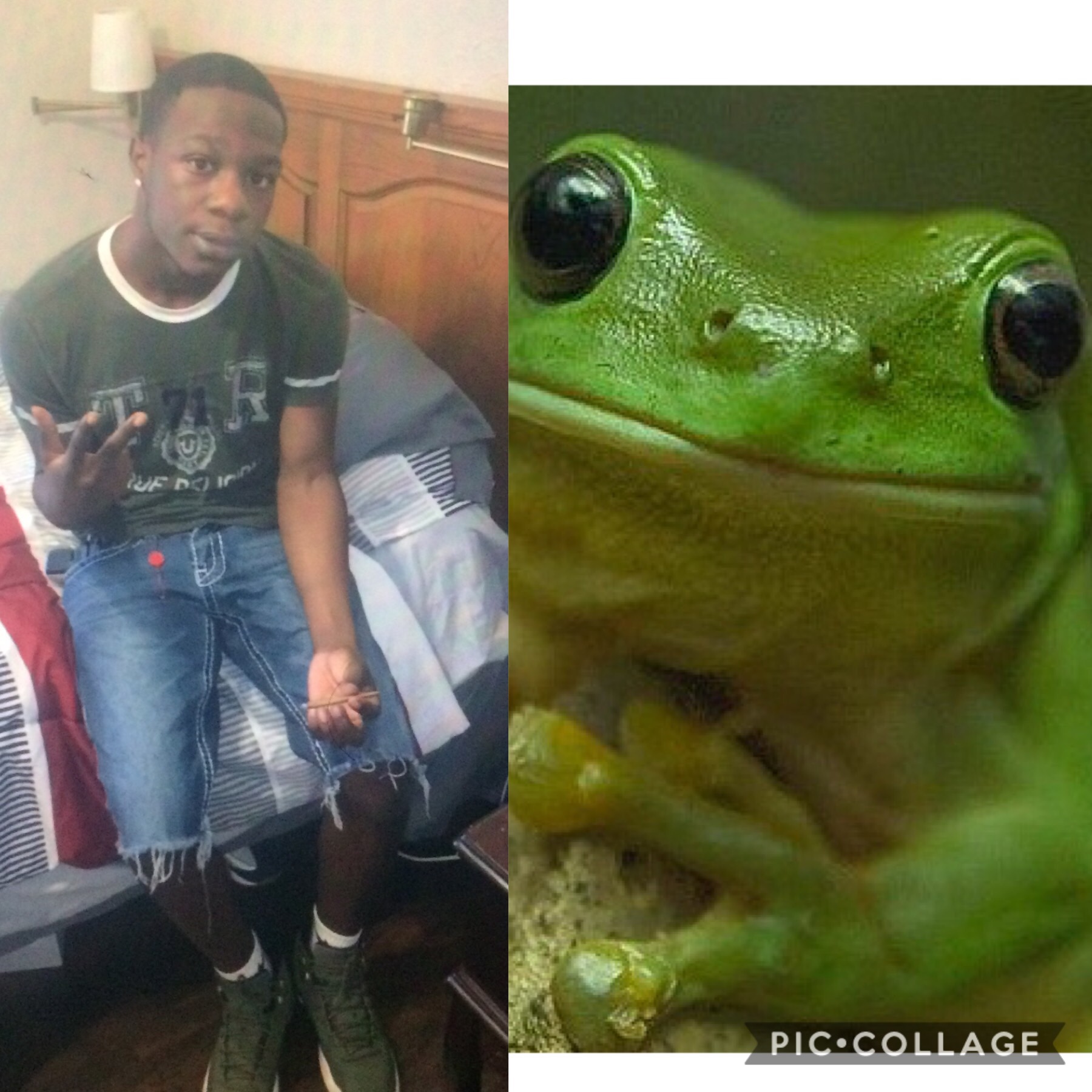 High Quality Frog ? looking ass Blank Meme Template