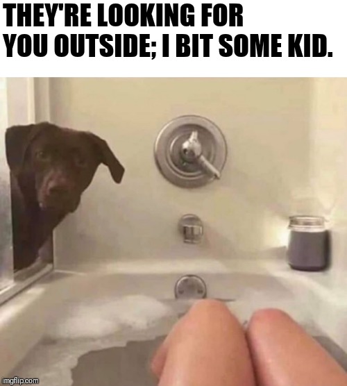 Dog confession | THEY'RE LOOKING FOR YOU OUTSIDE; I BIT SOME KID. | image tagged in dogs,memes,funny | made w/ Imgflip meme maker