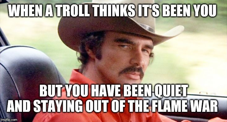 RIP Burt Reynolds | WHEN A TROLL THINKS IT'S BEEN YOU; BUT YOU HAVE BEEN QUIET AND STAYING OUT OF THE FLAME WAR | image tagged in rip burt reynolds | made w/ Imgflip meme maker