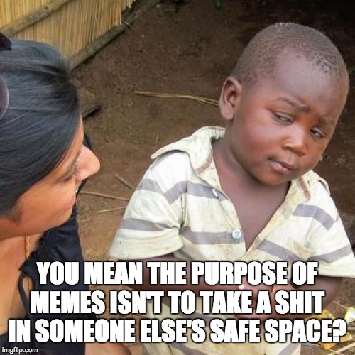 Third World Skeptical Kid | YOU MEAN THE PURPOSE OF MEMES ISN'T TO TAKE A SHIT IN SOMEONE ELSE'S SAFE SPACE? | image tagged in memes,third world skeptical kid | made w/ Imgflip meme maker