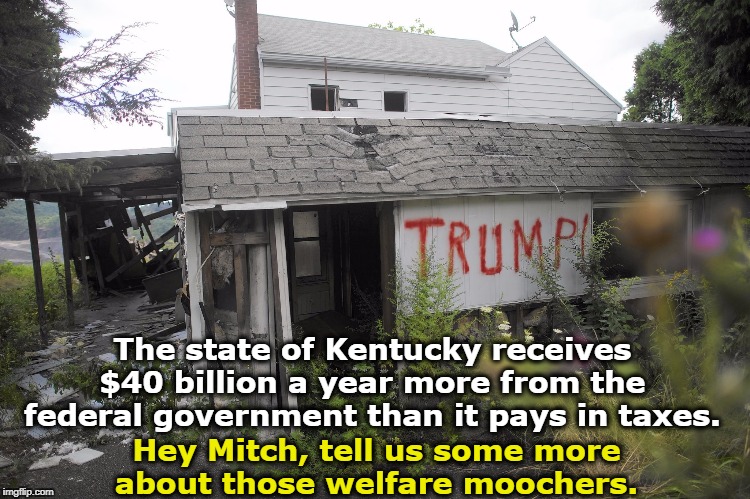 The state of Kentucky receives $40 billion a year more from the federal government than it pays in taxes. Hey Mitch, tell us some more about those welfare moochers. | image tagged in mitch mcconnell,kentucky,welfare,entitlement | made w/ Imgflip meme maker