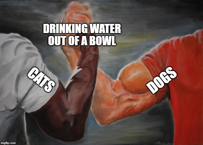 Epic Handshake Meme | DRINKING WATER OUT OF A BOWL; DOGS; CATS | image tagged in epic handshake | made w/ Imgflip meme maker