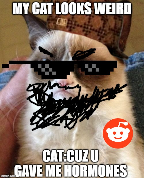 Grumpy Cat | MY CAT LOOKS WEIRD; CAT:CUZ U GAVE ME HORMONES | image tagged in memes,grumpy cat | made w/ Imgflip meme maker