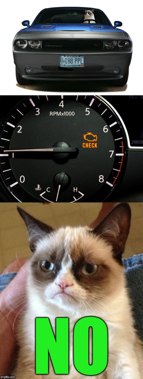 I do what I want | NO | image tagged in grumpy cat,car,no,meme,i hate people,check engine | made w/ Imgflip meme maker