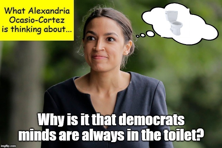 AOC's mind has ALWAYS been in the toilet | Why is it that democrats minds are always in the toilet? | image tagged in aoc,toilet | made w/ Imgflip meme maker
