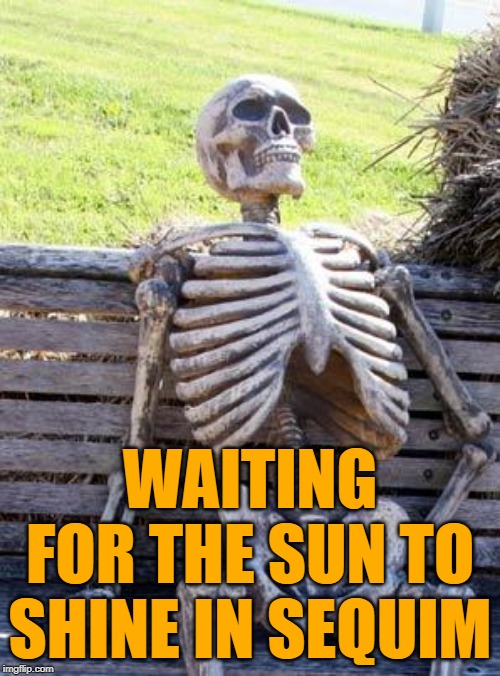 Sunny Sequim Skeleton | WAITING FOR THE SUN TO SHINE IN SEQUIM | image tagged in waiting skeleton,seattle,summer,funny memes,washington,july | made w/ Imgflip meme maker
