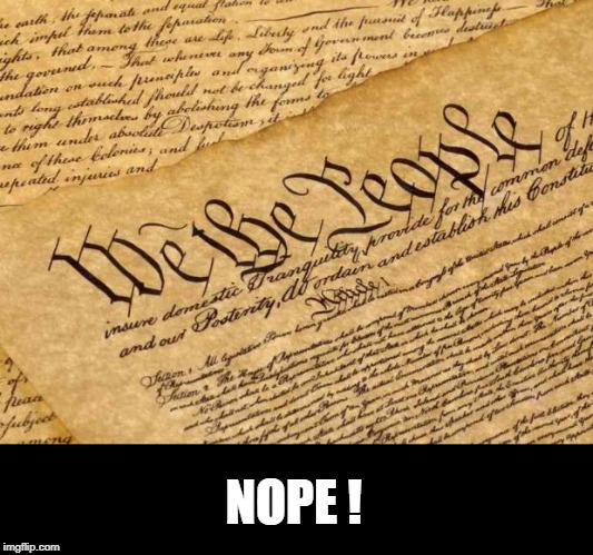 Constitution | NOPE ! | image tagged in constitution | made w/ Imgflip meme maker