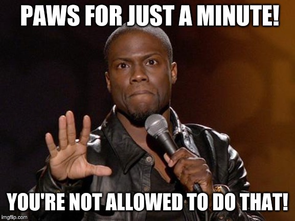 kevin hart | PAWS FOR JUST A MINUTE! YOU'RE NOT ALLOWED TO DO THAT! | image tagged in kevin hart | made w/ Imgflip meme maker