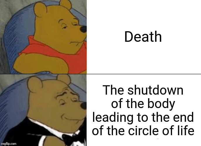 Tuxedo Winnie The Pooh | Death; The shutdown of the body leading to the end of the circle of life | image tagged in memes,tuxedo winnie the pooh | made w/ Imgflip meme maker