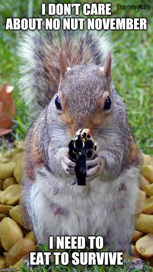 funny squirrels with guns (5) | I DON'T CARE ABOUT NO NUT NOVEMBER; I NEED TO EAT TO SURVIVE | image tagged in funny squirrels with guns 5 | made w/ Imgflip meme maker