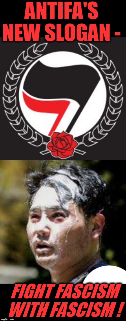 RIP free speech | ANTIFA'S NEW SLOGAN -; FIGHT FASCISM WITH FASCISM ! | image tagged in antifa flag,nazis | made w/ Imgflip meme maker