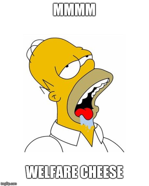 Homer Simpson Drooling | MMMM WELFARE CHEESE | image tagged in homer simpson drooling | made w/ Imgflip meme maker