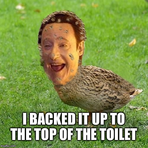 The Data Duck | I BACKED IT UP TO THE TOP OF THE TOILET | image tagged in the data duck | made w/ Imgflip meme maker