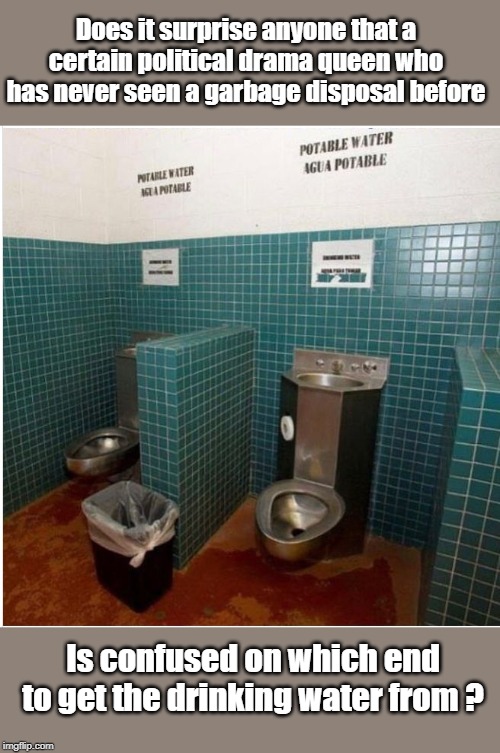 Maybe AOC is just technically challenged | Does it surprise anyone that a certain political drama queen who has never seen a garbage disposal before; Is confused on which end to get the drinking water from ? | image tagged in aoc,toilet humor,us customs,border crises | made w/ Imgflip meme maker
