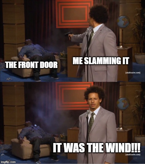 What was the noise??? | ME SLAMMING IT; THE FRONT DOOR; IT WAS THE WIND!!! | image tagged in memes,who killed hannibal | made w/ Imgflip meme maker