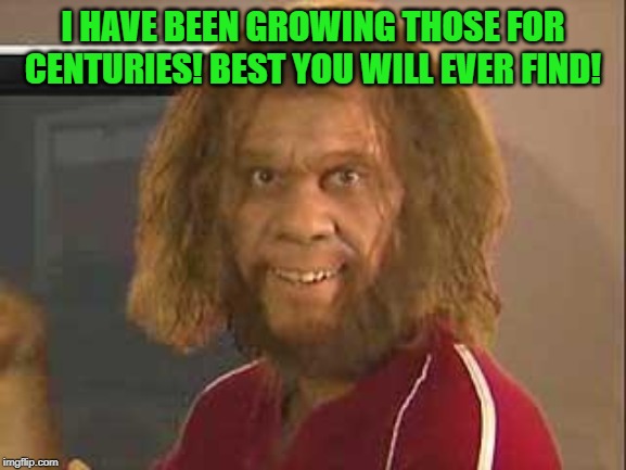 caveman | I HAVE BEEN GROWING THOSE FOR CENTURIES! BEST YOU WILL EVER FIND! | image tagged in caveman | made w/ Imgflip meme maker