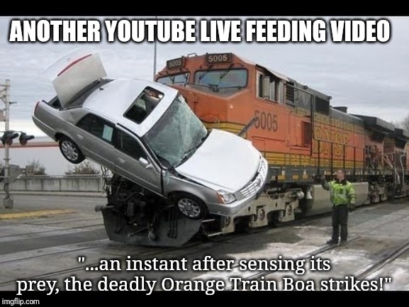 Creative Youtube Live Feeding Video | ANOTHER YOUTUBE LIVE FEEDING VIDEO; "...an instant after sensing its prey, the deadly Orange Train Boa strikes!" | image tagged in car crash | made w/ Imgflip meme maker