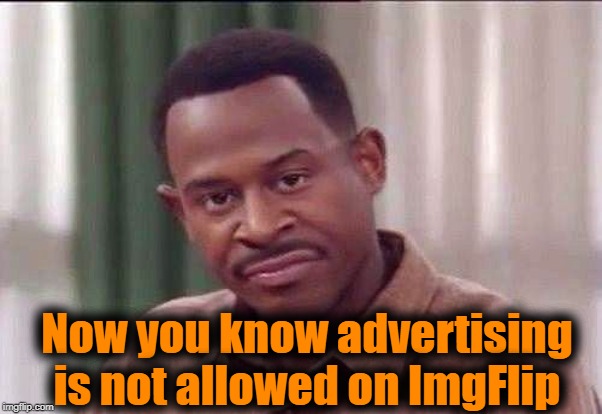 scowl | Now you know advertising is not allowed on ImgFlip | image tagged in scowl | made w/ Imgflip meme maker