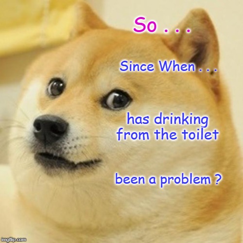 Doge Meme | So . . . Since When . . . has drinking from the toilet been a problem ? | image tagged in memes,doge | made w/ Imgflip meme maker