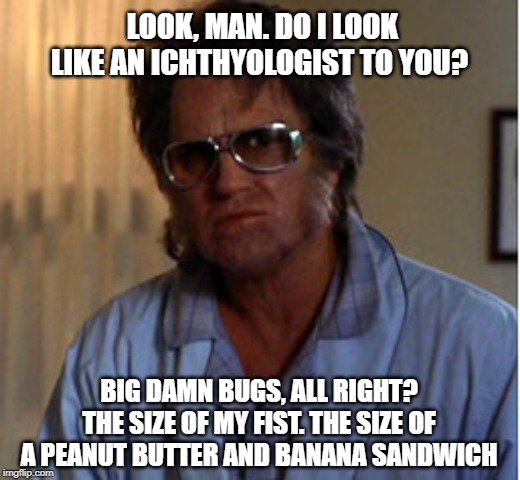 Bubba Ho-Tep: Ichthyologist | LOOK, MAN. DO I LOOK LIKE AN ICHTHYOLOGIST TO YOU? BIG DAMN BUGS, ALL RIGHT? THE SIZE OF MY FIST. THE SIZE OF A PEANUT BUTTER AND BANANA SANDWICH | image tagged in elvis - bubba ho-tep,ichthyologist,big bug,bugs | made w/ Imgflip meme maker