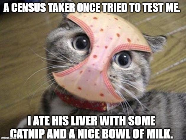 Slurp Slurp Slurp | A CENSUS TAKER ONCE TRIED TO TEST ME. I ATE HIS LIVER WITH SOME CATNIP AND A NICE BOWL OF MILK. | image tagged in funny cats | made w/ Imgflip meme maker