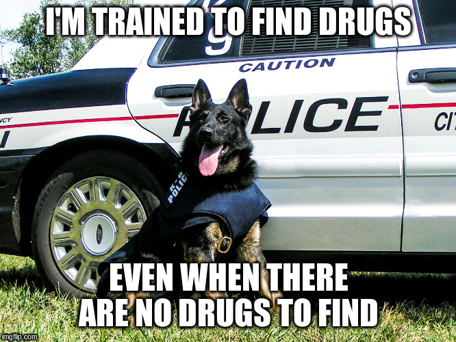drug dog | I'M TRAINED TO FIND DRUGS; EVEN WHEN THERE ARE NO DRUGS TO FIND | image tagged in politics | made w/ Imgflip meme maker