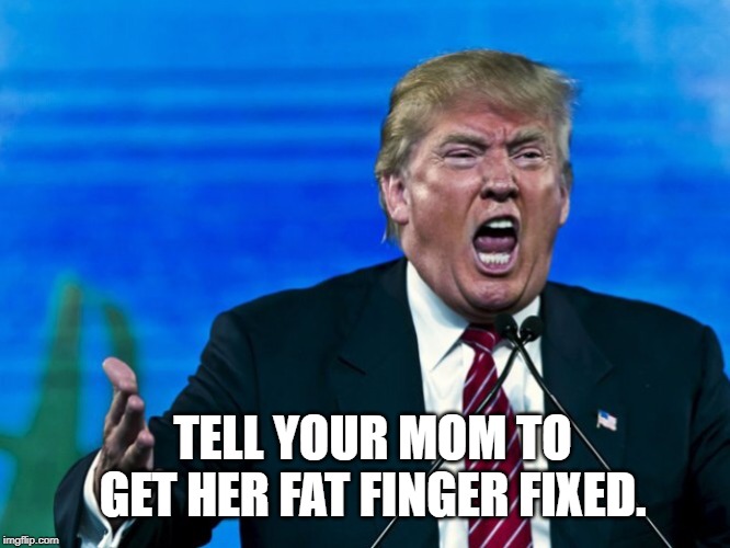 Hey Liberals Pointing fingers! | TELL YOUR MOM TO GET HER FAT FINGER FIXED. | image tagged in trump yelling | made w/ Imgflip meme maker