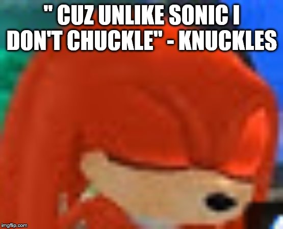 knuckles | " CUZ UNLIKE SONIC I DON'T CHUCKLE" - KNUCKLES | image tagged in knuckles | made w/ Imgflip meme maker