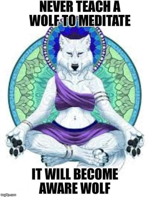 image tagged in aware wolf,memes,meditation,funny,ooohhhmmm | made w/ Imgflip meme maker
