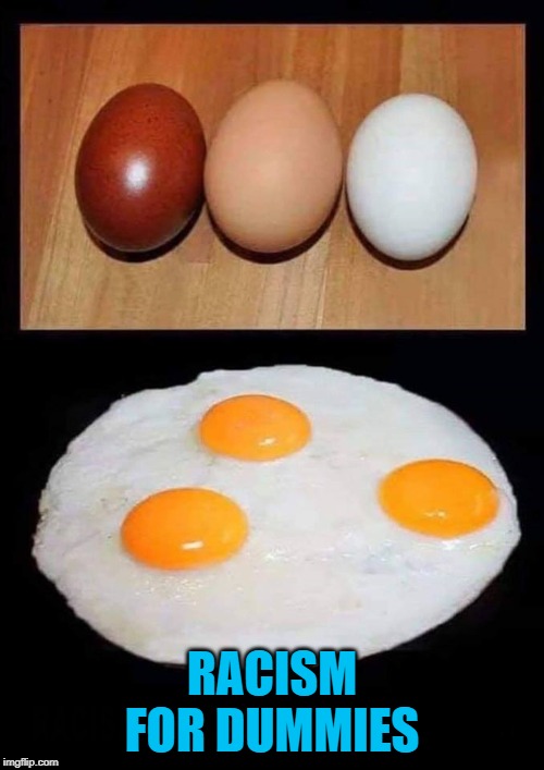 It's a pretty simple concept to handle yet many still can't. | RACISM FOR DUMMIES | image tagged in eggs,memes,racism for dummies,all the same inside,colored huevos | made w/ Imgflip meme maker