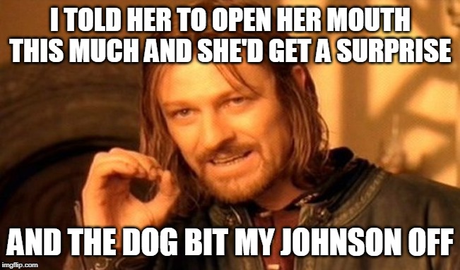 One Does Not Simply Meme | I TOLD HER TO OPEN HER MOUTH THIS MUCH AND SHE'D GET A SURPRISE; AND THE DOG BIT MY JOHNSON OFF | image tagged in memes,one does not simply | made w/ Imgflip meme maker