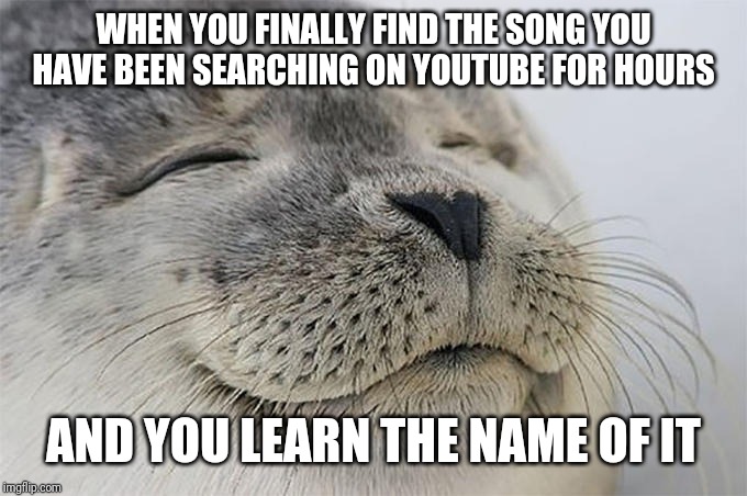 WHEN YOU FINALLY FIND THE SONG YOU HAVE BEEN SEARCHING ON YOUTUBE FOR HOURS; AND YOU LEARN THE NAME OF IT | image tagged in AdviceAnimals | made w/ Imgflip meme maker