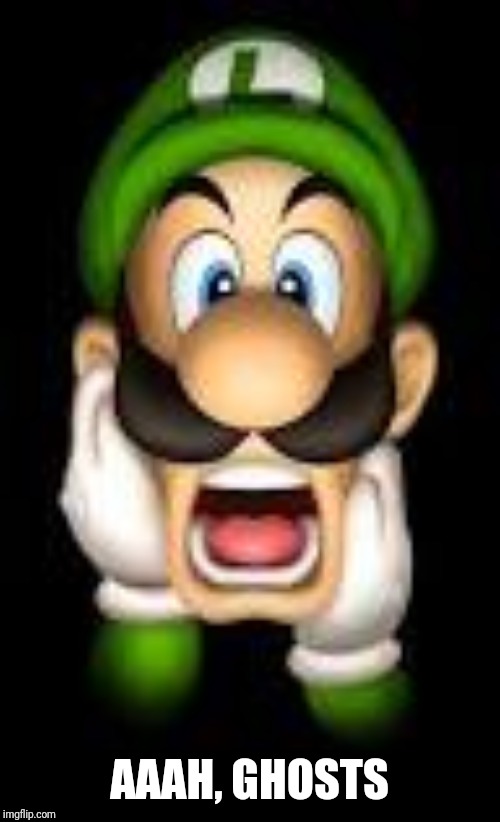Frighten/Scared Luigi  | AAAH, GHOSTS | image tagged in frighten/scared luigi | made w/ Imgflip meme maker