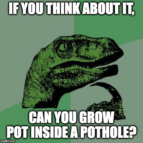 Philosoraptor Meme | IF YOU THINK ABOUT IT, CAN YOU GROW POT INSIDE A POTHOLE? | image tagged in memes,philosoraptor | made w/ Imgflip meme maker