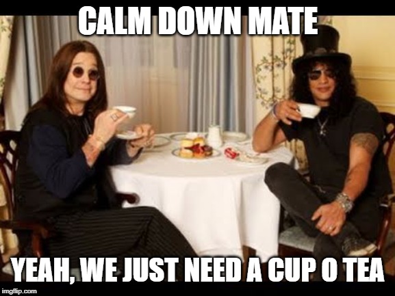 Ozzy and Slash tea time | CALM DOWN MATE; YEAH, WE JUST NEED A CUP O TEA | image tagged in ozzy and slash tea time | made w/ Imgflip meme maker