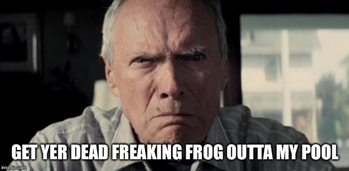 Mad Clint Eastwood | GET YER DEAD FREAKING FROG OUTTA MY POOL | image tagged in mad clint eastwood | made w/ Imgflip meme maker