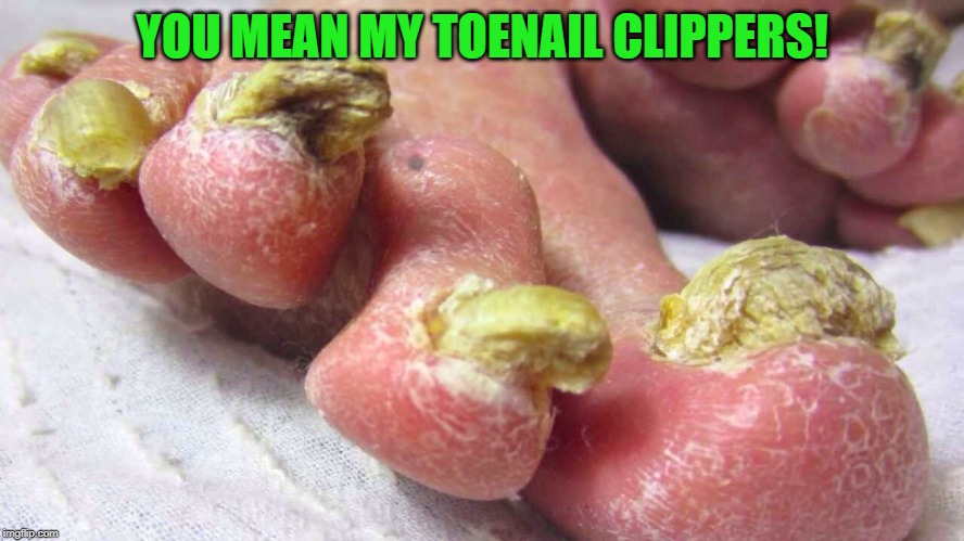 feet | YOU MEAN MY TOENAIL CLIPPERS! | image tagged in feet | made w/ Imgflip meme maker