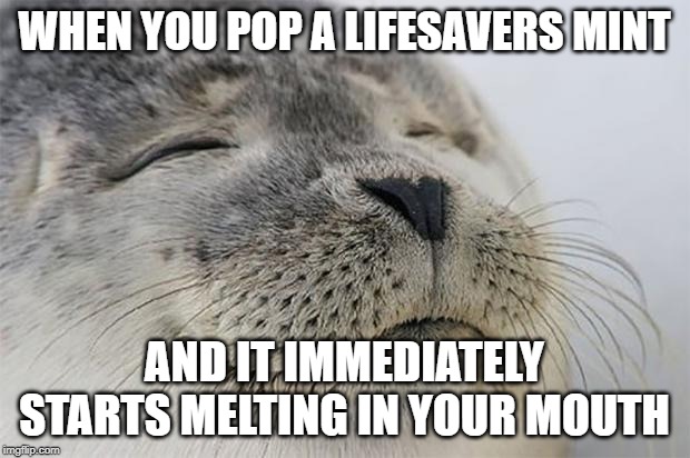Satisfied Seal Meme | WHEN YOU POP A LIFESAVERS MINT; AND IT IMMEDIATELY STARTS MELTING IN YOUR MOUTH | image tagged in memes,satisfied seal | made w/ Imgflip meme maker