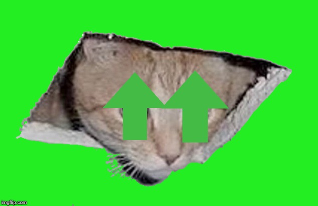 Ceiling Cat | image tagged in ceiling cat | made w/ Imgflip meme maker