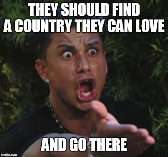 DJ Pauly D Meme | THEY SHOULD FIND A COUNTRY THEY CAN LOVE AND GO THERE | image tagged in memes,dj pauly d | made w/ Imgflip meme maker